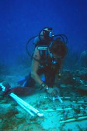 PhotoID:5331, Dr Scheffers performs underwater verification of reef communities and their health.