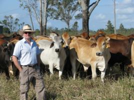 PhotoID:11376, From Cambridge to the cattle, Dr Gareth Pearce visits a herd at Belmont near Rockhampton