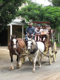 PhotoID:14068, Study tour visitors enjoy attractions including the Heritage Village