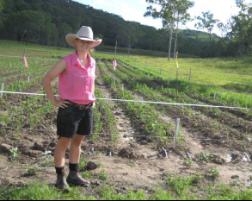 PhotoID:11483, Kylie Hopkins in the field with her trials of Stevia rebaudiana