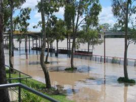 PhotoID:5314, Rockhampton's Riverside Park under water. 11am, Monday 28 January, 2008. Photographer: Linda Porter. Compliments of ABC Capricornia.