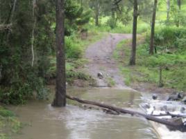 PhotoID:5315, A picture of the driveway after waters had receded