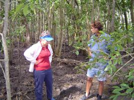 PhotoID:5361, Derek Ball (left) discusses the project with Dr Judith Wake