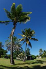 PhotoID:9131, North Keppel Island Environmental Education Centre