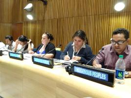 PhotoID:15012, Sherry-Kaye Savage (second from left) at the United Nations