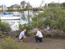 PhotoID:7724, Dr Wilson (left) shows visitor Professor Bruno Pavoni around the Port of Gladstone