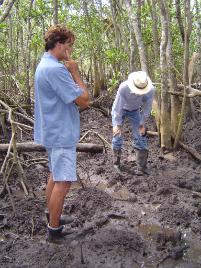 PhotoID:5360, Derek Ball (left) discusses his project with Dr Steve McKillup