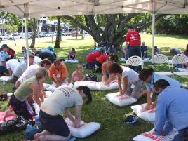 PhotoID:4800, Part of the CPR record attempt