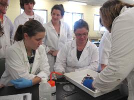 PhotoID:9682, Marine ecology students preparing to extract fish otoliths