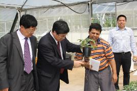 PhotoID:11476, Professor Kefeng Liu and Professor Wang Younian discuss CQUniversity's agricultural facilities and programs with Dr Surya Bhattarai and Dr En Li.