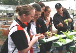 PhotoID:6897, Glenmore High School students Rochelle Breingan, Keely Ireland, Kaitlin Radstaak and Charnee Baker enjoy learning about hydroponics at CQUniversity this week.