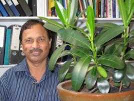 PhotoID:7663, Associate Professor Nanjappa Ashwath with a potted Beauty Leaf Tree.