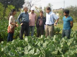 PhotoID:14244, Prof Midmore (second from right) chats about a field trial studying pesticide residuals on earthworm activity