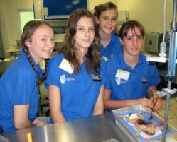 PhotoID:8250, Enjoying the toad experience ... (l-r) Lucinda Jaques (St Ursula's), Ebony Rich (Yeppoon), Alyson English (Yeppoon) and Rojahne Bembridge (Yeppoon).