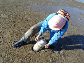 PhotoID:14001, Seagrass monitoring near Gladstone