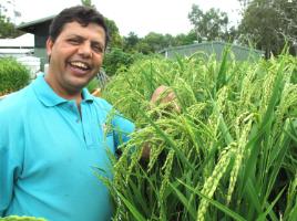 PhotoID:11957, Surya checks his sample crops