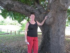 PhotoID:10410, Susan inspects one of the huge mango trees beside the Thozet gravesite in Codd Street