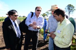 PhotoID:14905, Cang Fenghua (New Margin Ventures), Daryl Young (AAT), Peter Foxwell (farmer) and Dr Surya Bhattarai (CQUni)