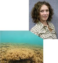 PhotoID:12754, Dr Alison Jones beside an image she took of an area of dead coral.