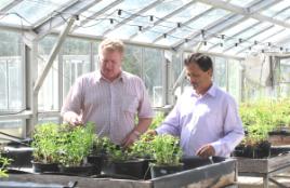 PhotoID:7228, Dr Ashwath (right) shows Don Chambers around the facilities on campus