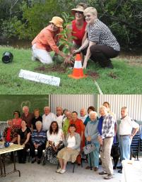 PhotoID:9443, Professor Angela Delves (stripes) helps plant the Education and Learning Tree on behalf of CQUniversity. Below: Participants in a barbecue celebrating the project booklet 