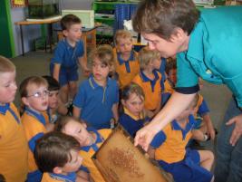 PhotoID:12394, Dr Delma Clifton is a welcome visitor at Chelona State School with the Prep students. 