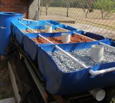 PhotoID:11740, The finished aquaponic system waiting for its plants