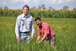 PhotoID:14904, Alton Downs farmer Peter Foxwell discusses his dry land rice crop with CQUni researcher Dr Surya Bhattarai