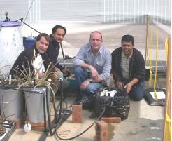 PhotoID:7498, Multidisciplinary team members ... Dr Surya Bhattarai (first from right), David Wassink (ANSTO Sydney),  postdoctoral fellow Dr Pramod Shrestha and Prof David Midmore  (Left)  measuring the bubbles in the visualisation section in a pineapple oxygation trial. 