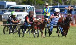 PhotoID:14625, Mikaela (pictured in white) winning a heat during the goat races held each May Day weekend as part of the Tree of Knowledge Festival in Barcaldine
