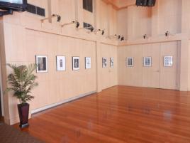 PhotoID:12688, First and second year Multimedia students have their artwork on display.