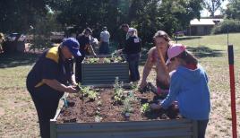 PhotoID:14934, LINK for a larger image of the Duaringa Community Garden
