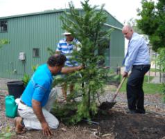 PhotoID:10106, CQUniversity brings dinosaur plant back to life in CQ.