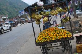 PhotoID:14201, Agro-eco-tourism is on the agenda