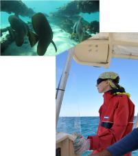 PhotoID:9910, Alison Jones pictured on her way to the reef and an image from her latest dive