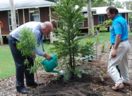 PhotoID:10105, Vice-Chancellor Scott Bowman waters in the dinosaur pine as Associate Professor Nanjappa Ashwath oversees.