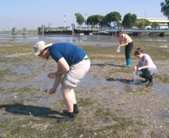 PhotoID:7726, Sampling in the Venice Lagoon