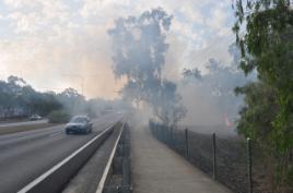 PhotoID:7685, Smoke billowed across the highway.