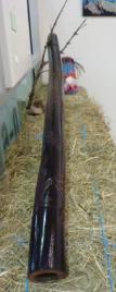 PhotoID:13707, The didgeridoo carved by Trey Butler  which is now owned by the University.