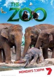 PhotoID:13025, Tanya's Zoo poster image