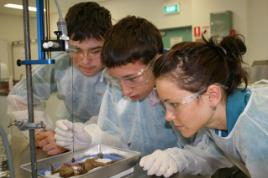 PhotoID:6727, Jordan Henderson (Tannum Sands), Austin Purdie (Middlemount) and Siobhan Dwyer (Rockhampton) are excited by the Science Experience at CQUniversity