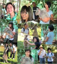 PhotoID:8890, The Thai teens have had the chance to pet Aussie wildlife